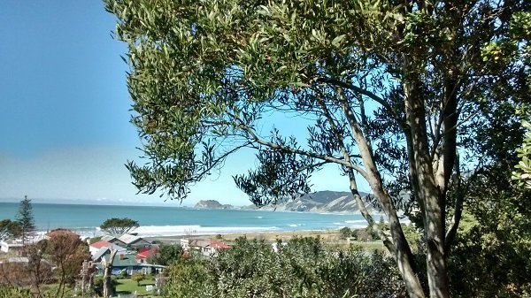 View from deck