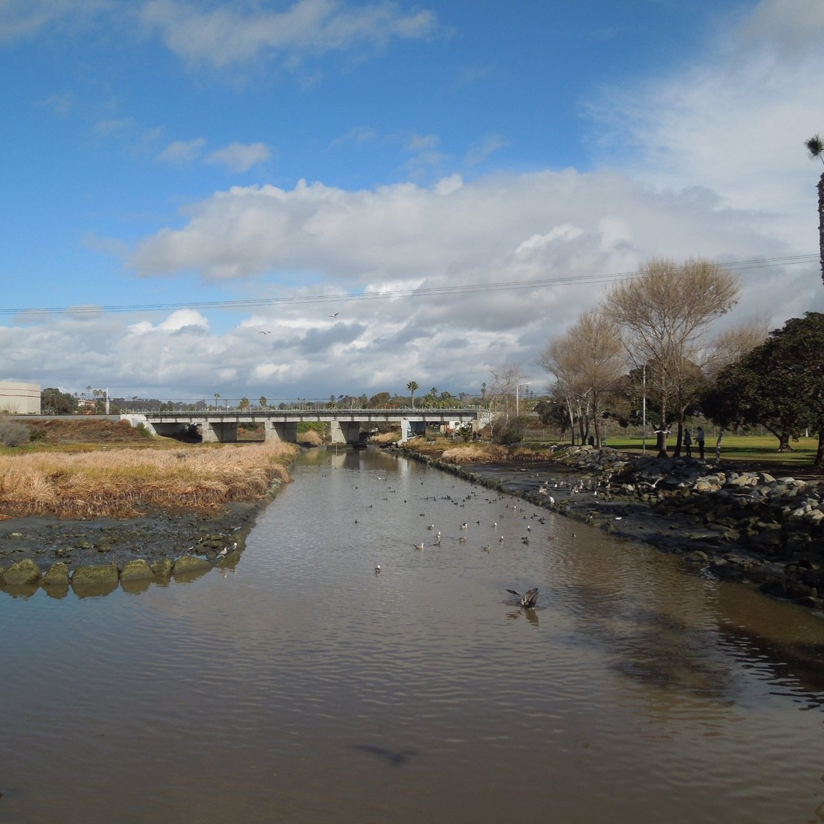 LOMA ALTA CREEK (Oceanside): Ce qu'il faut savoir pour votre visite ...