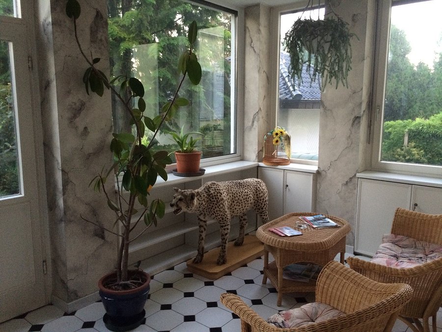 Hotel Park Villa Updated 21 Prices Reviews And Photos Heilbronn Germany Tripadvisor Hotel Park Villa Updated 21 Prices Reviews And Photos Heilbronn Germany Tripadvisor