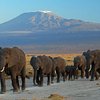 The 5 Best Outdoor Activities in Amboseli Eco-system, Rift Valley Province