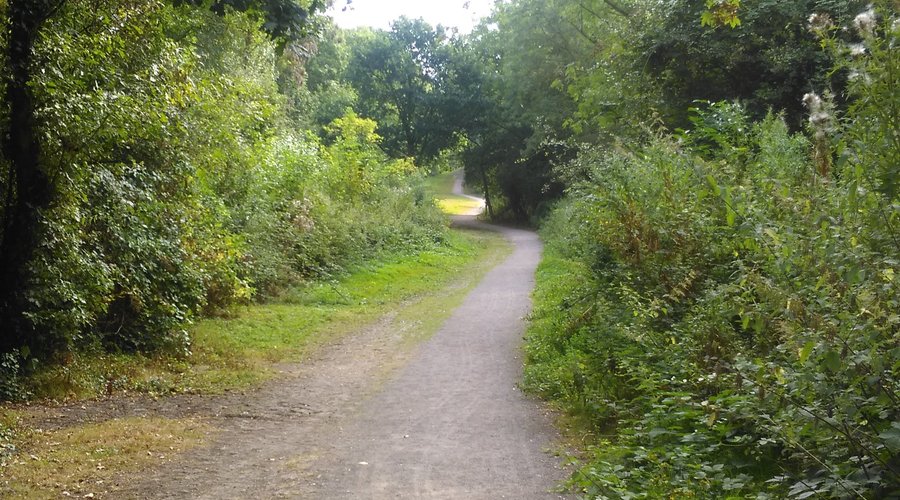 Relaxing Woodland Walks