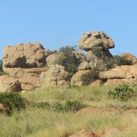 Kgaswane Nature Reserve - All You Need to Know BEFORE You Go (2024)