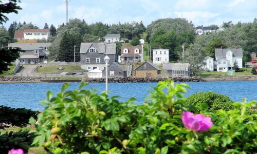 view of the buildings from across the bay