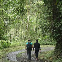 Reserva Buenaventura Jocotoco, Provincia de el Oro, Piñas Ecuador