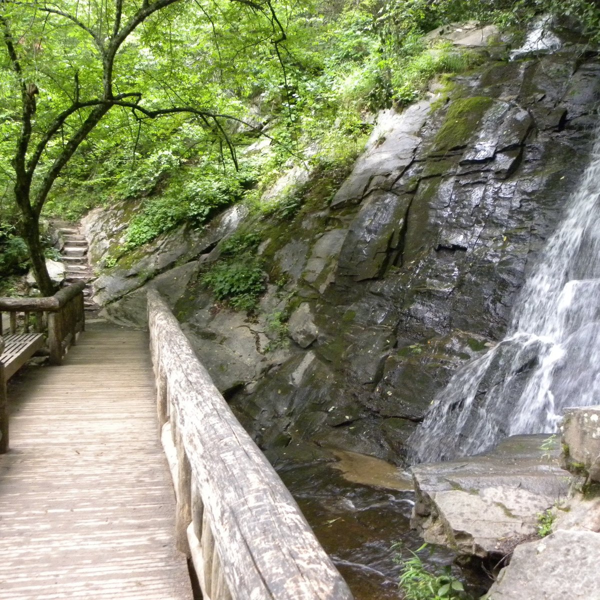 JUNEY WHANK FALLS (Great Smoky Mountains National Park): Ce qu'il faut ...