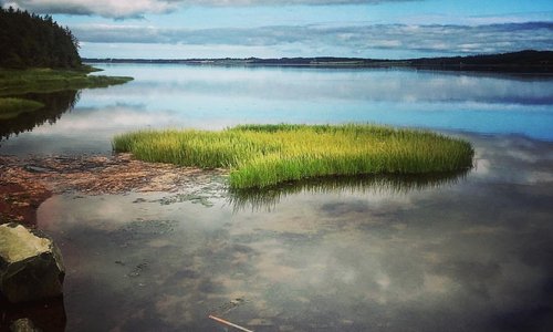 Saint Peters Bay along The Confederation Trail towards Morell