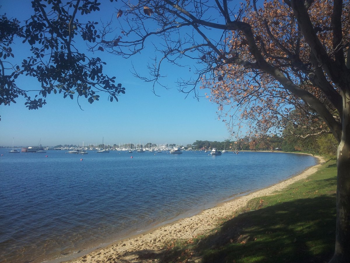 are dogs allowed at matilda bay reserve