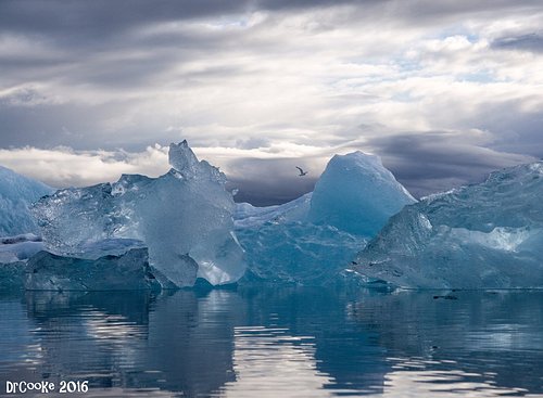 Jökulsárlón 64°04ʹ13ʺN 16°12ʹ42ʺW in: Living with water