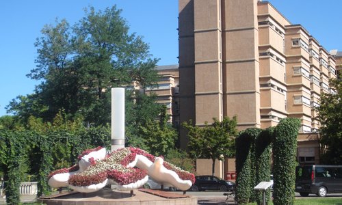 città