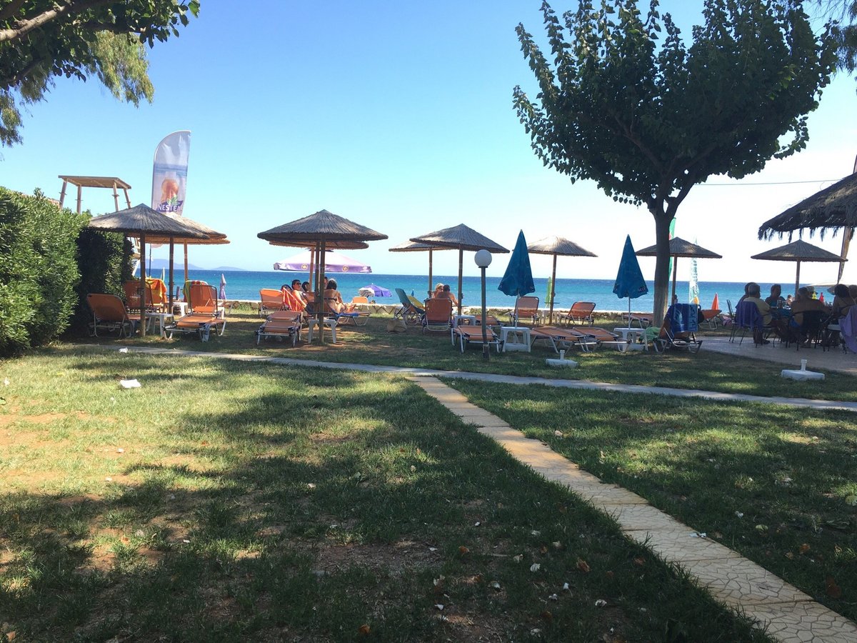 CAMPING RAMNOUS: Reviews (Marathon, Greece) - Photos of Campground ...