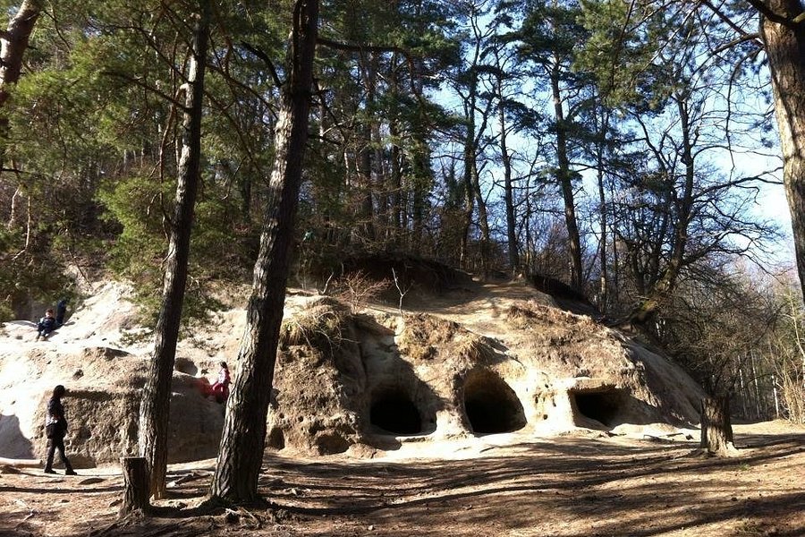 Les grottes des Roches Grises « La Lamberta » image