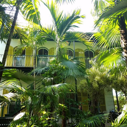 The Ernest Hemingway Home and Museum image pic