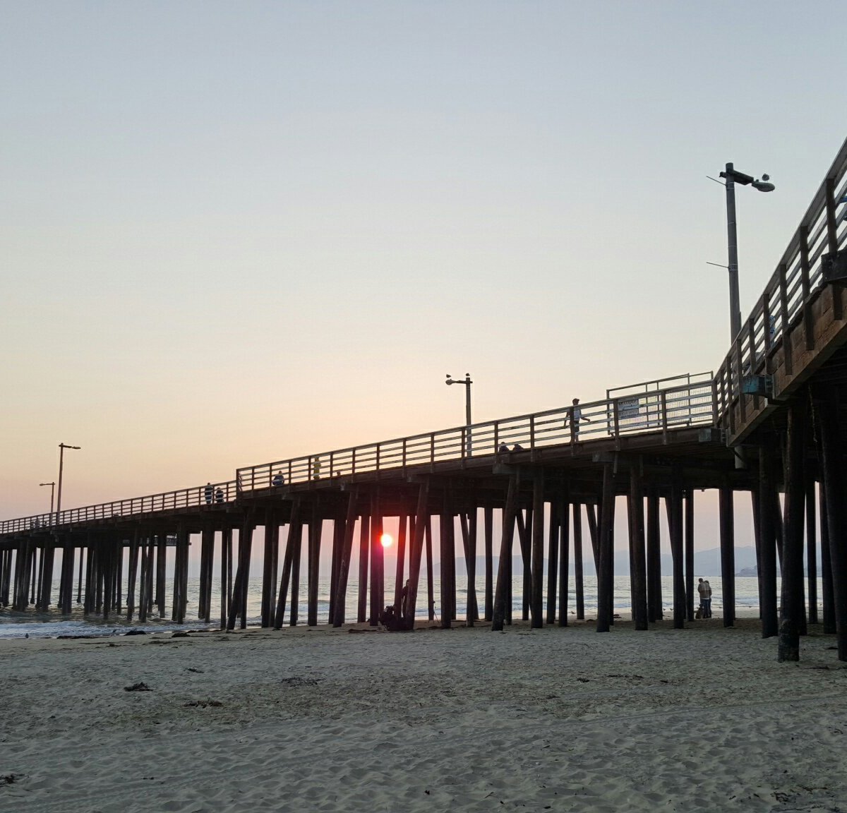 22年 Pismo Pier 行く前に 見どころをチェック トリップアドバイザー