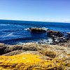 Things To Do in Seal Cove, Restaurants in Seal Cove