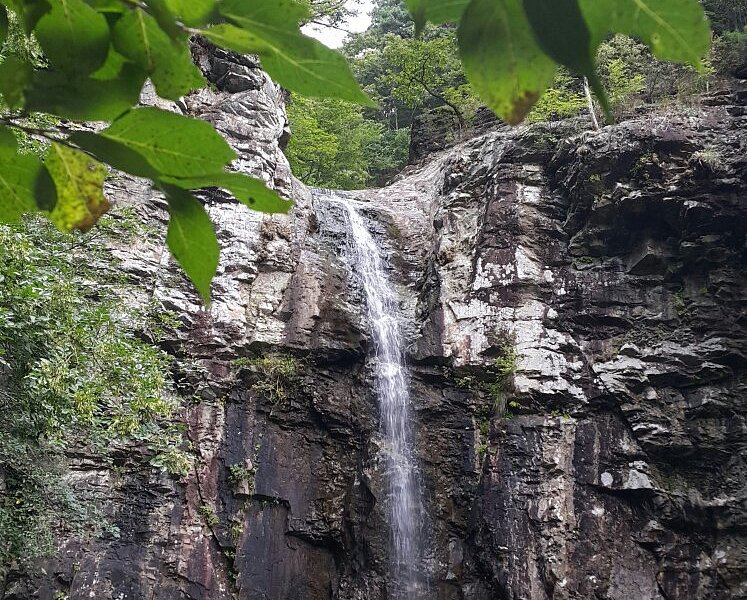 Sinbulsan Falls Recreational Forest image