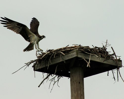 THE 10 BEST Parks & Nature Attractions in Hudson River Valley - Tripadvisor