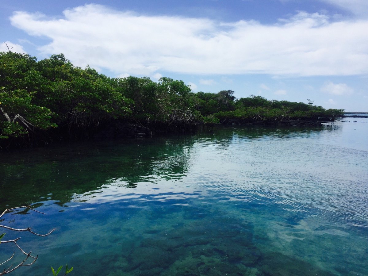 Walking tour Sendero de la Isla  Travel in Ecuador and Galapagos