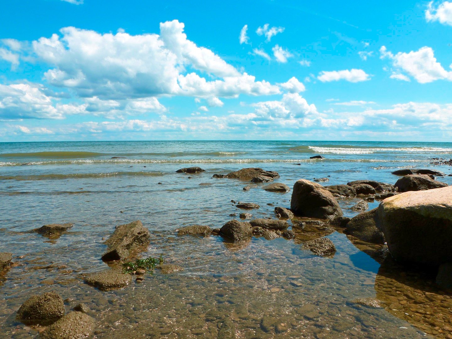 Pelee Island 2024 Best Places To Visit Tripadvisor   Shoreline 