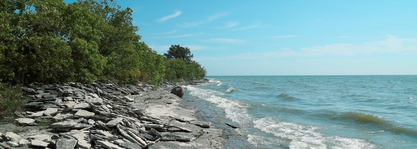 Shoreline