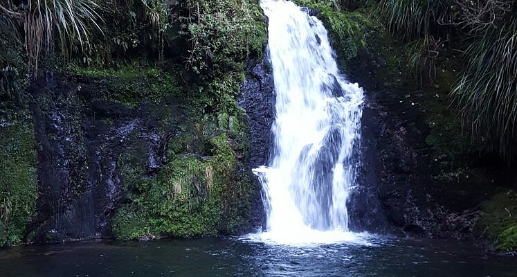 Te Puke New Zealand 2023 Best Places To Visit Tripadvisor 