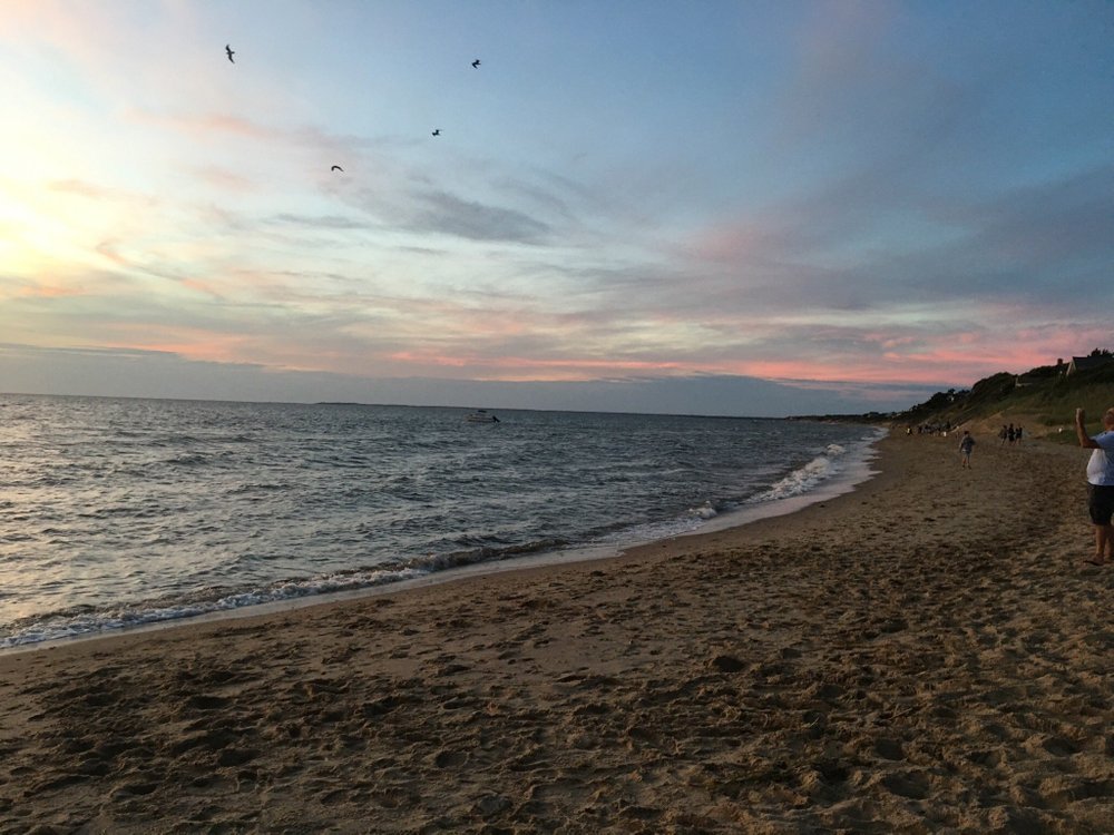 THE 15 BEST Things to Do in Eastham 2024 (with Photos) Tripadvisor