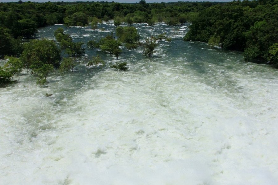 Udawalawe Dam image