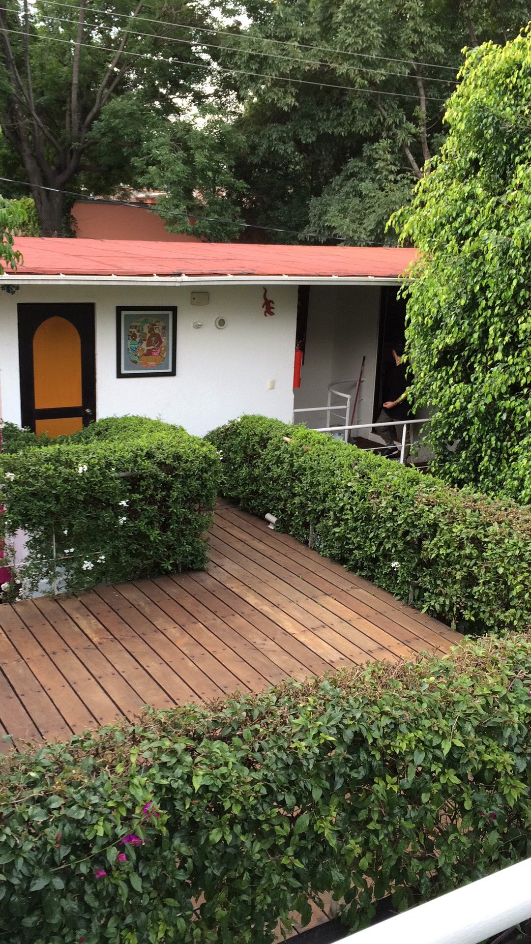 Hotel photo 16 of Hostal Cuija Coyoacan.
