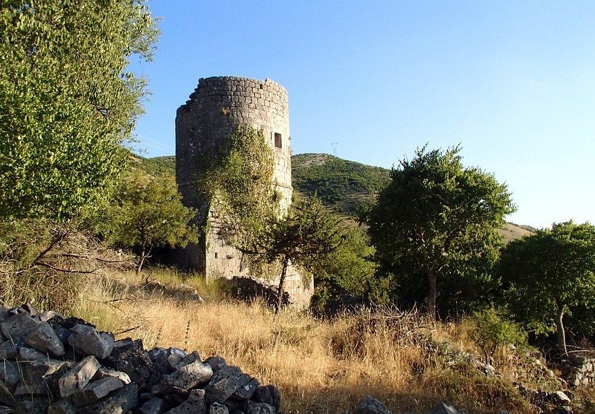 Brankovic Tower image