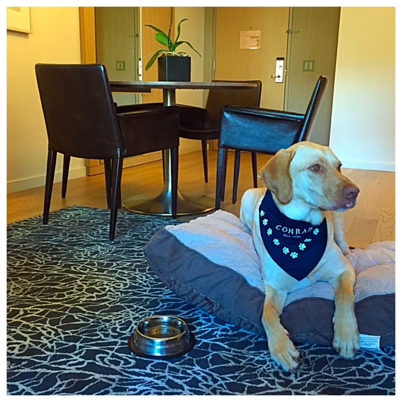 Hotel photo 65 of Conrad New York Downtown.