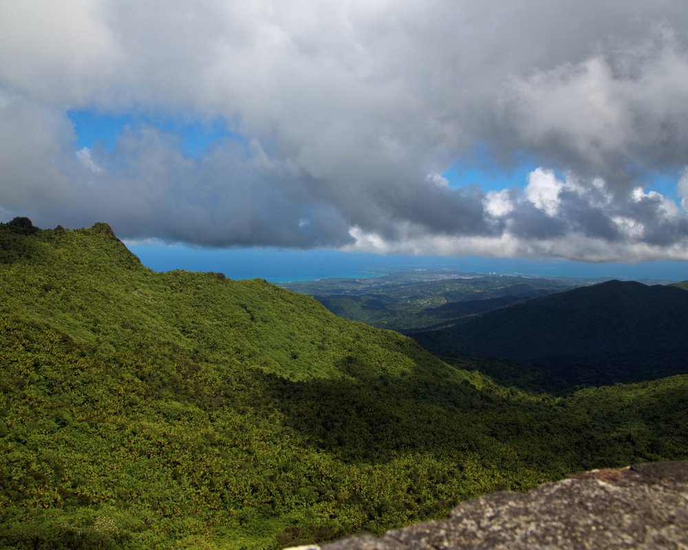 The 15 Best Things to Do in El Yunque National Forest - 2024 (with ...