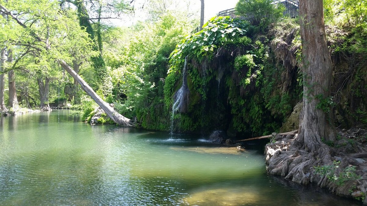 Krause Springs (Spicewood) - All You Need to Know BEFORE You Go