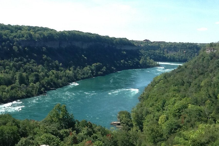 Niagara Glen Nature Areas image