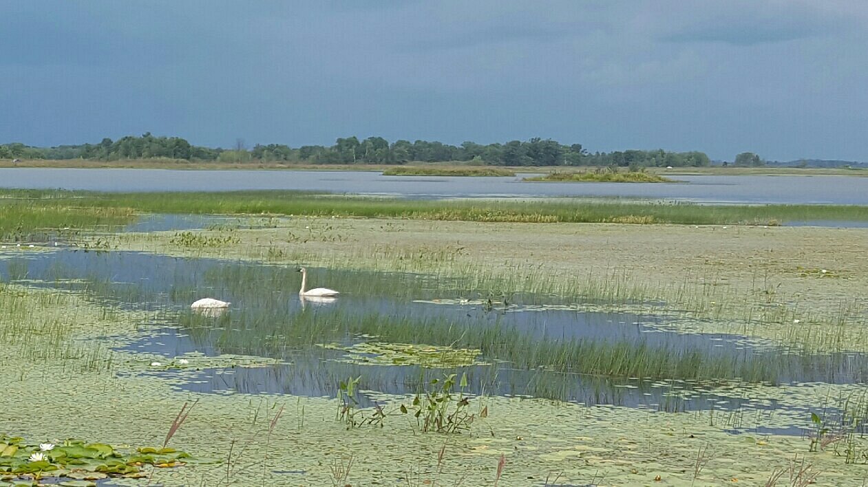 Grantsburg (Висконсин) 2024: все самое лучшее для туристов - Tripadvisor