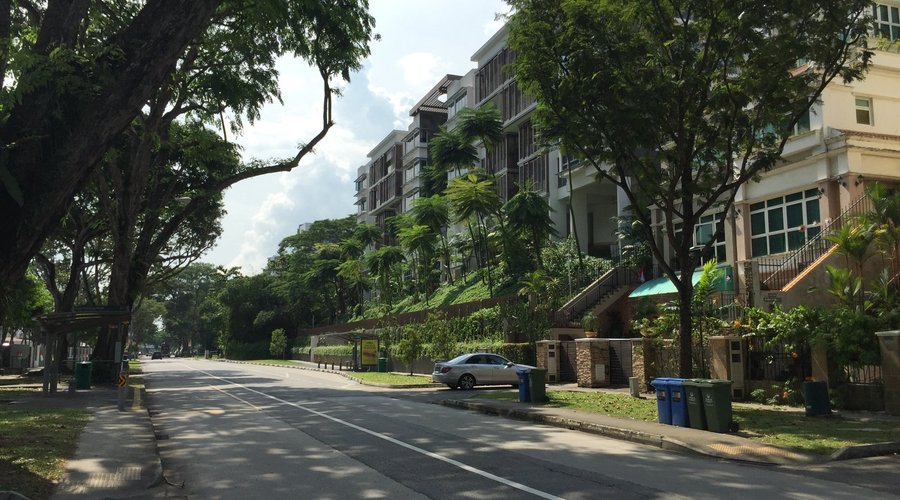 綠樹成蔭的道路