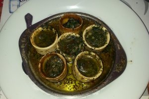 Cibo