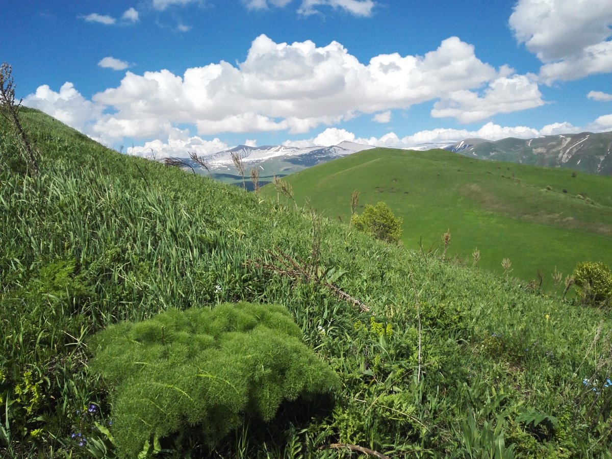 Campos de Altitude « A Última Arca de Noé