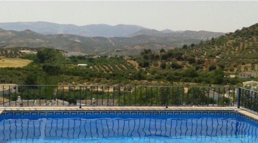 Piscina y vistas del jardín.