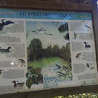 Riserva naturale orientata Parma Morta