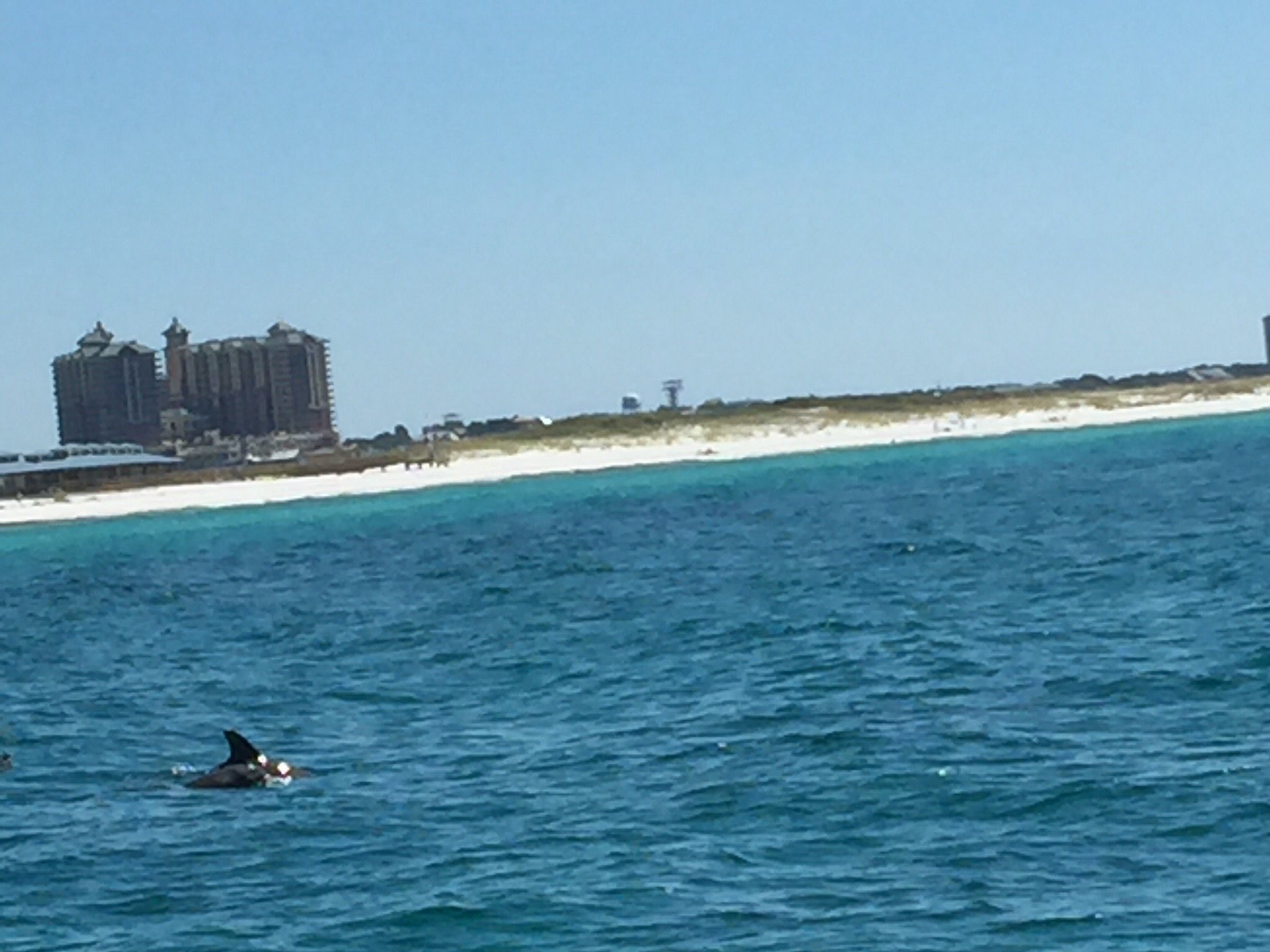 Harbor Watersports Destin All You Need To Know Before You Go