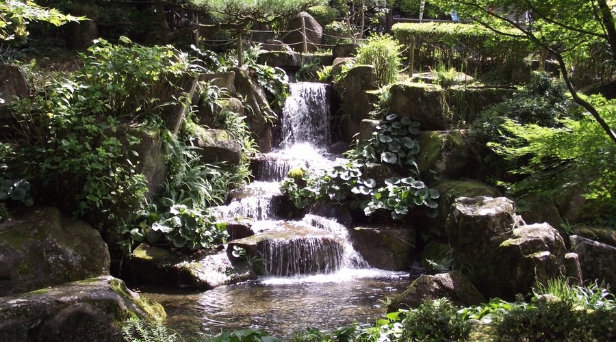 岐阜公園