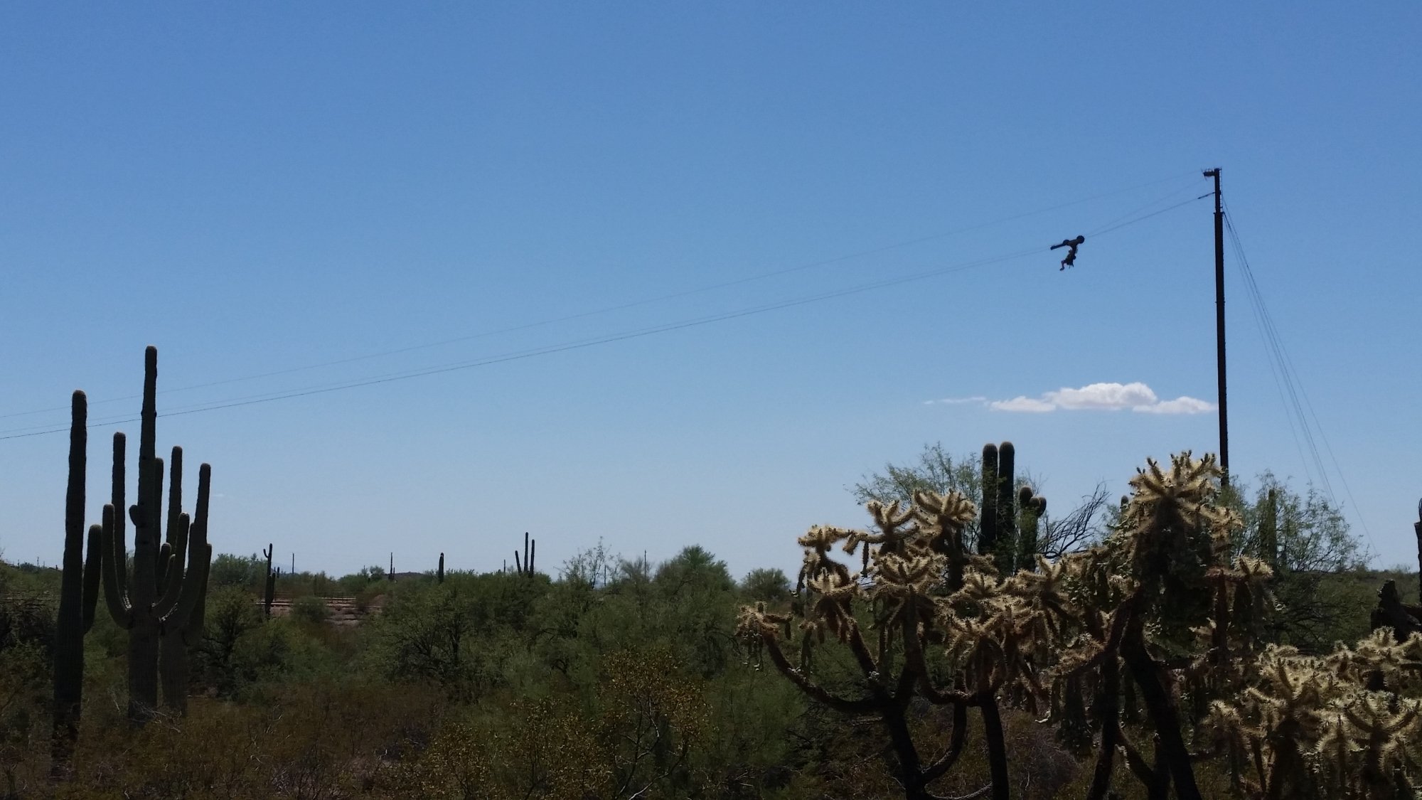 Superstition Zipline (2025) - All You Need to Know BEFORE Superstition Zipline (2025) - All You Need to Know BEFORE
