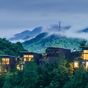 Tree Top Villa