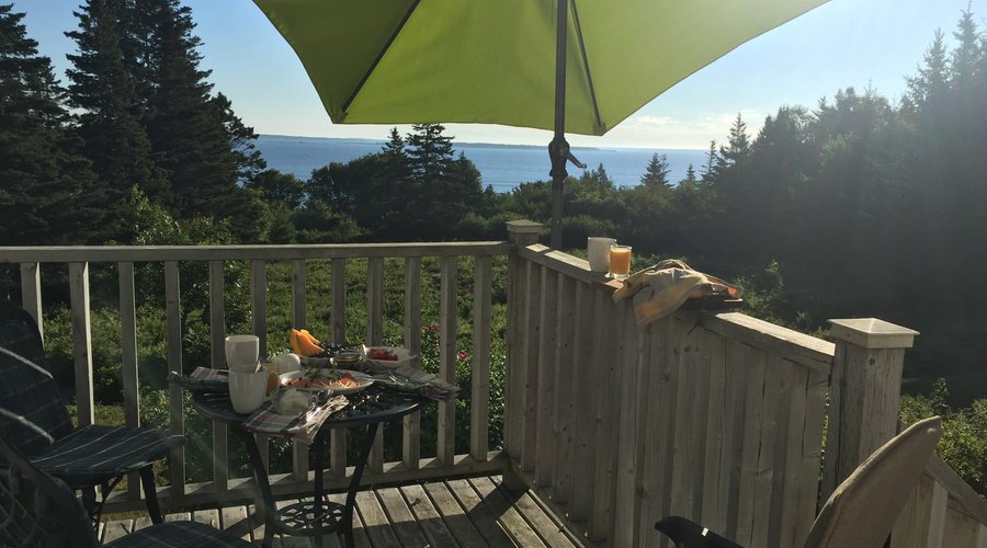 view from the room / private patio