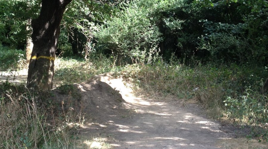 Hangman's (Brannets) Wood