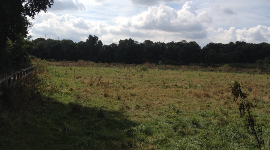 Hangman's (Brannets) Wood