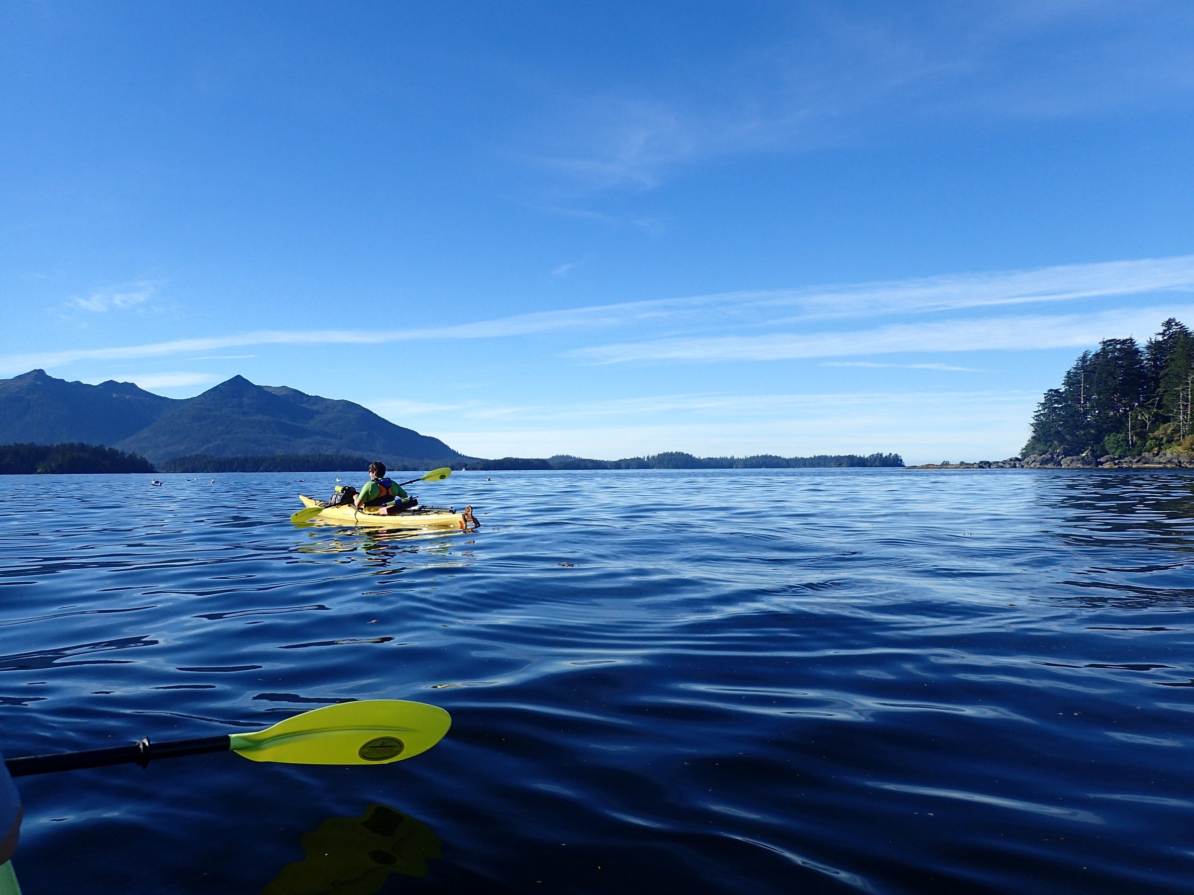 Sitka Sound Ocean Adventures (2025) - All You Need to Know BEFORE You ...