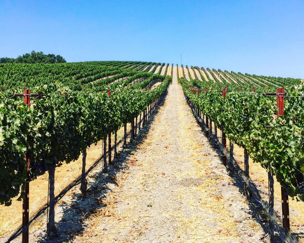 THE 15 BEST Things to Do in Paso Robles - 2022 (with Photos) - Tripadvisor