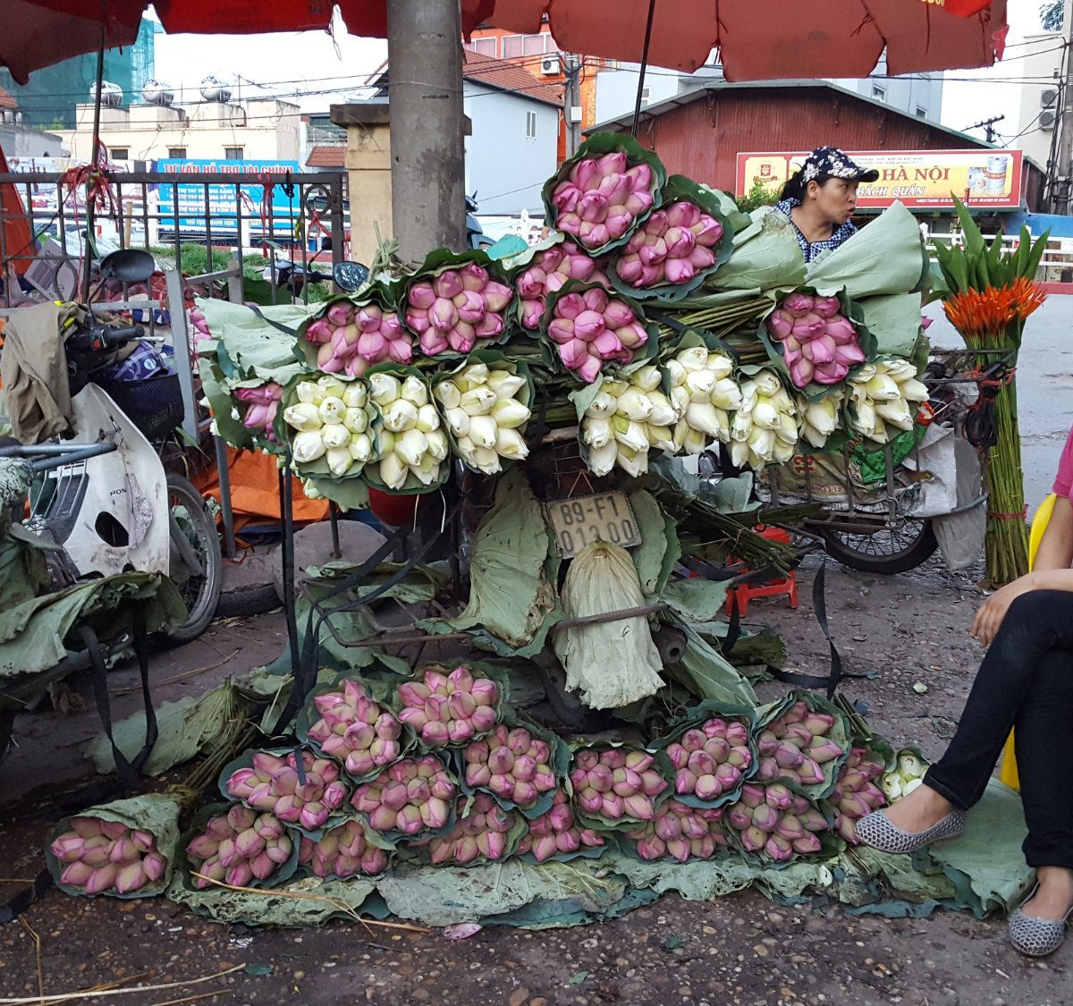 Quang Ba Flower Market Hanoi 2021 All You Need To Know Before You Go Tours Tickets With Photos Tripadvisor