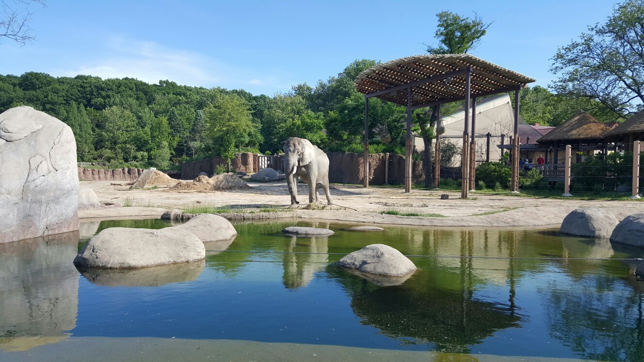 Cleveland Metroparks Zoo: All You Need To Know BEFORE You Go