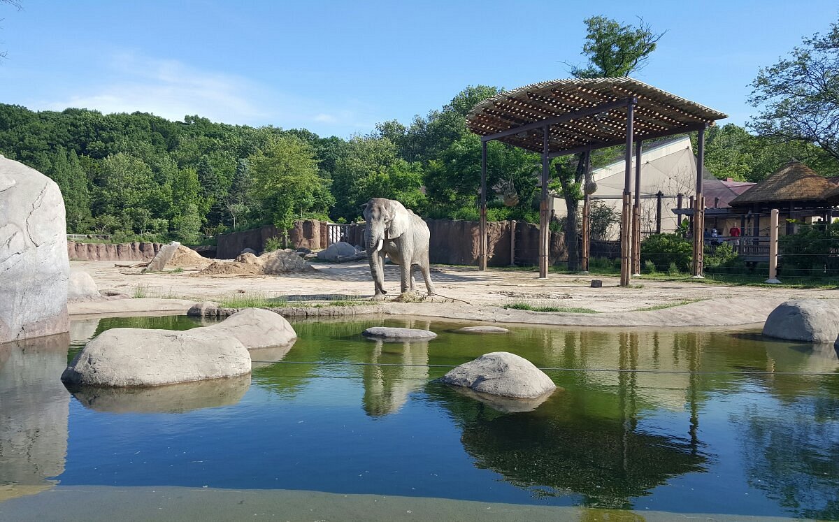 Cleveland Metroparks Zoo All You Need to Know BEFORE You Go